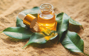 7 Amazing Benefits & Uses of Tea Tree Oil For Hair