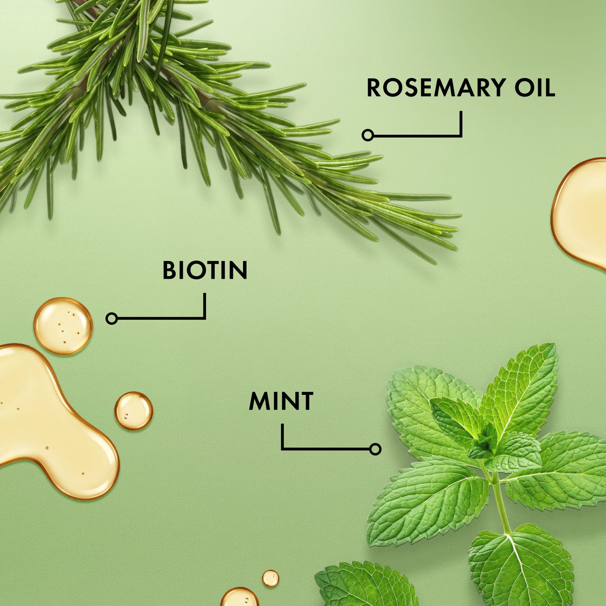 Mielle Organics Rosemary Mint Strengthening Shampoo