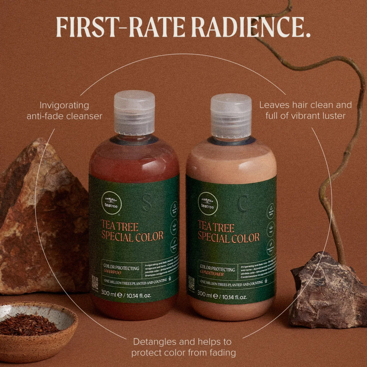 Paul Mitchell Tea Tree Special Colour Shampoo & Conditioner Duo