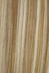 Ash Brown With Blonde Mix