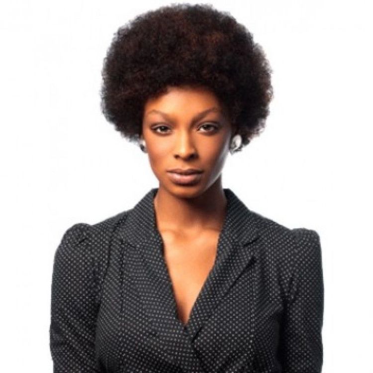 Sleek Afro Wig Human Hair