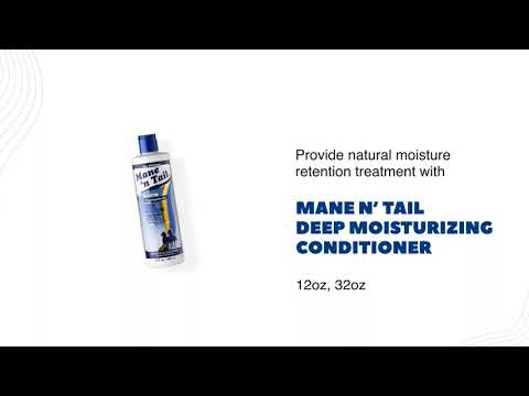 Mane 'n Tail Deep Moisturizing Conditioner