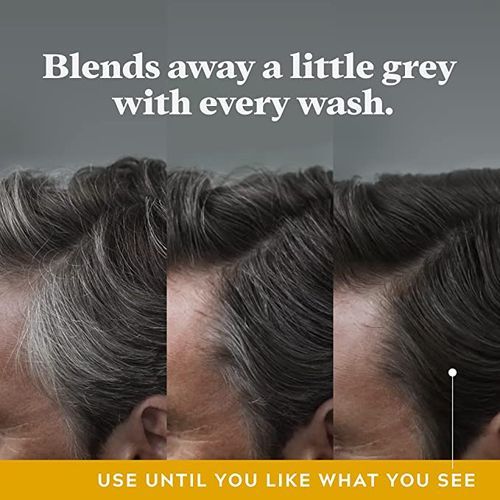 Just For Men Control Gx Grey Reducing Shampoo