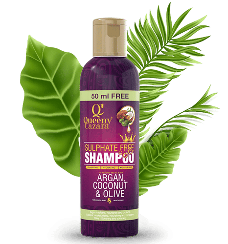 Queeny Cazara Argan, Coconut & Olive Oil Sulfate-Free Shampoo
