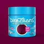 Directions Semi Permanent Hair Colour